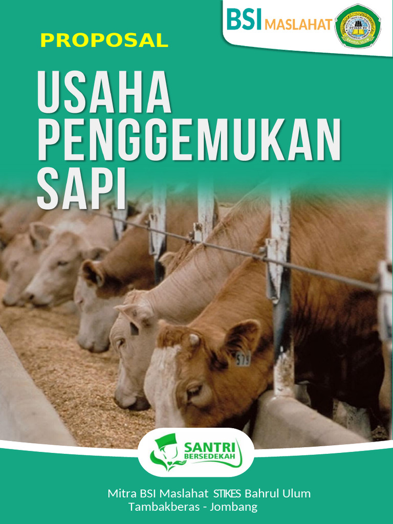 Peluang Bisnis Penggemukan Sapi Pesantren | PDF