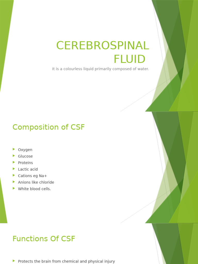 Understanding Cerebrospinal Fluid Functions | PDF