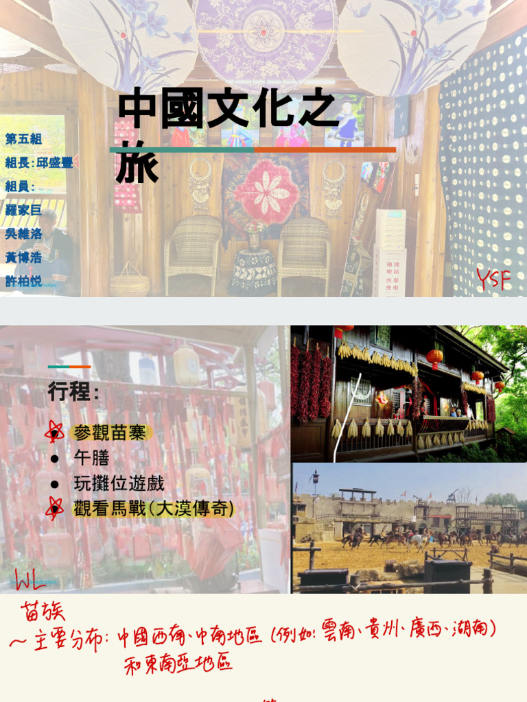 中文project | PDF