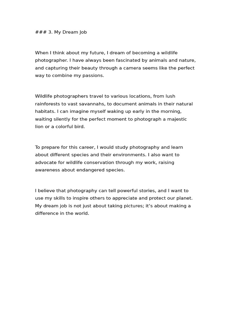 My Dream Job PDF