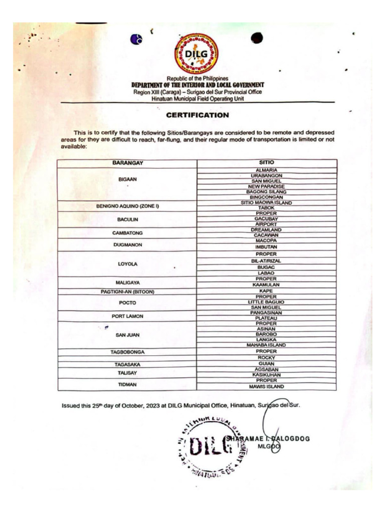 DILG Cert | PDF