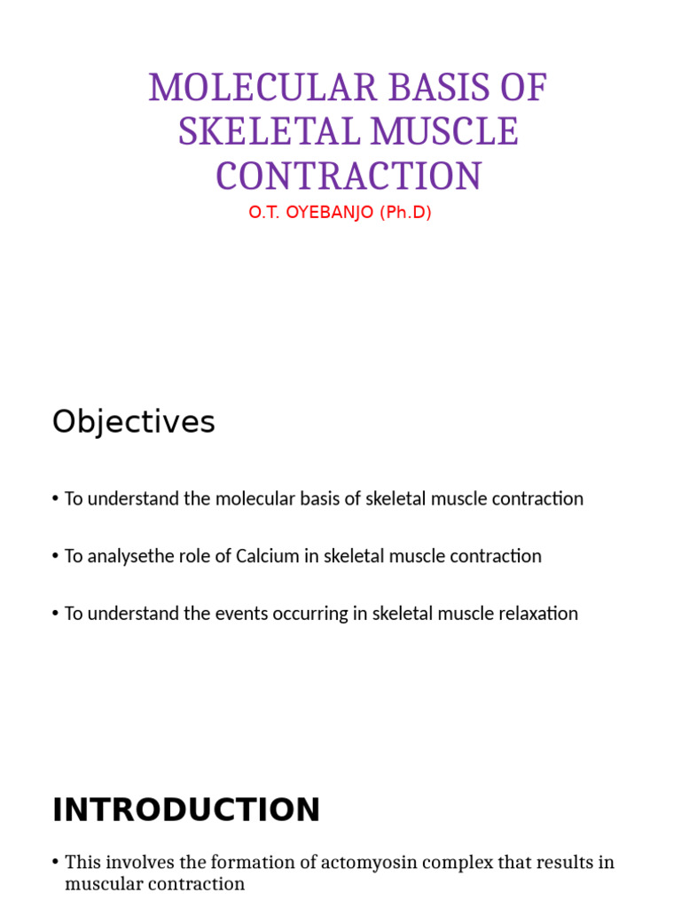 Phs 201 - Molecular Basis of Muscle Contraction | PDF | Muscle ...