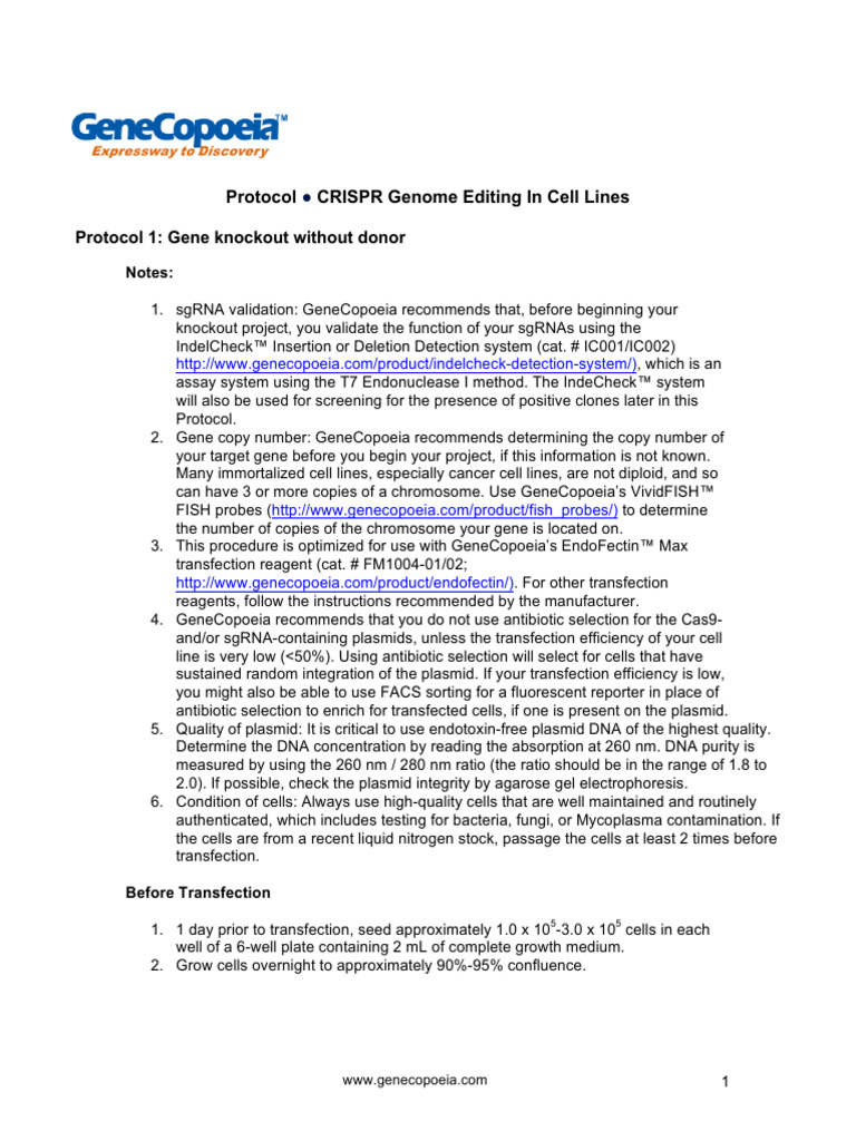 CRISPR Gene Knockout Protocol Guide | PDF | Life Sciences | Molecular ...