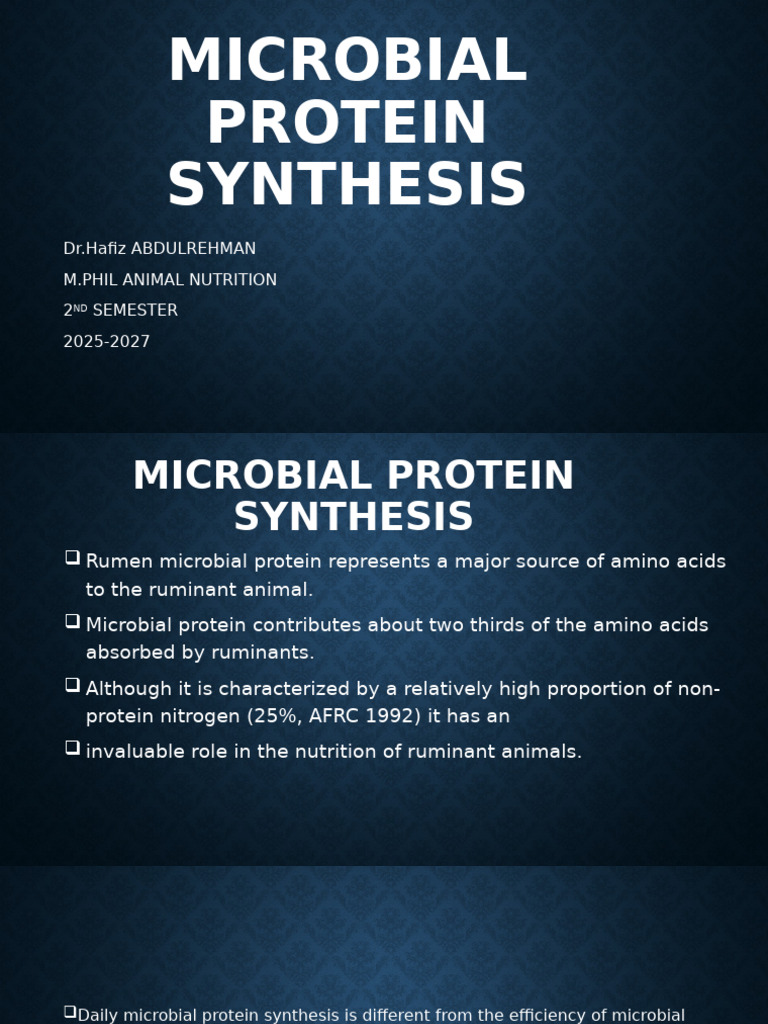 Rumen Microbial Protein Synthesis Insights | PDF | Ruminant | Chemistry