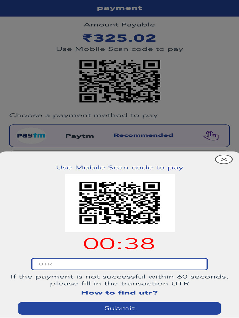 Mobile Payment Instructions and Support | PDF