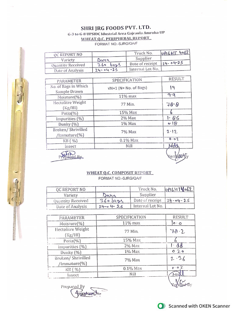 Raw Material Inspection | PDF
