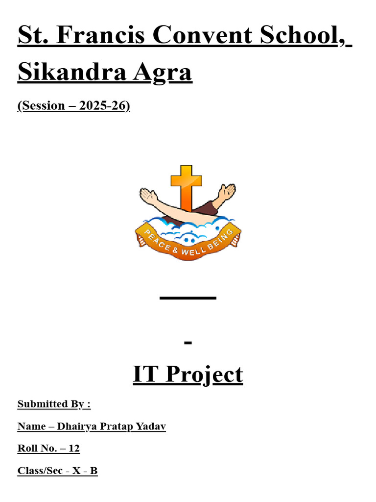 Database Management Project Overview | PDF | Databases | Data