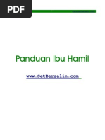 Download PanduanIbuHamil-part1 by takde SN9767907 doc pdf