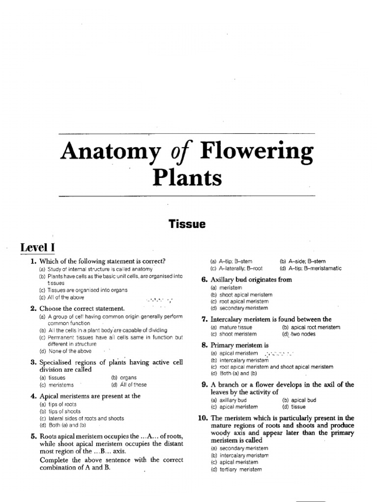 Anatomy of Flowering Plants Explained | PDF | Tissue (Biology) | Plant Stem