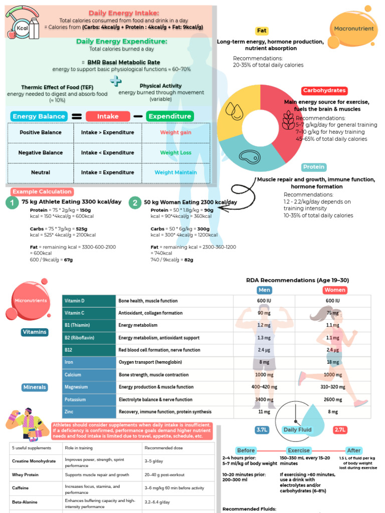 Daily Energy Expenditure and Nutrition Guide | PDF | Food Energy ...