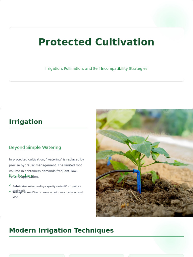 Protected Cultivation: Irrigation & Pollination Strategies | PDF ...