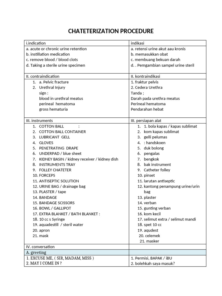 Catheterization and Infusion Procedure Form | PDF