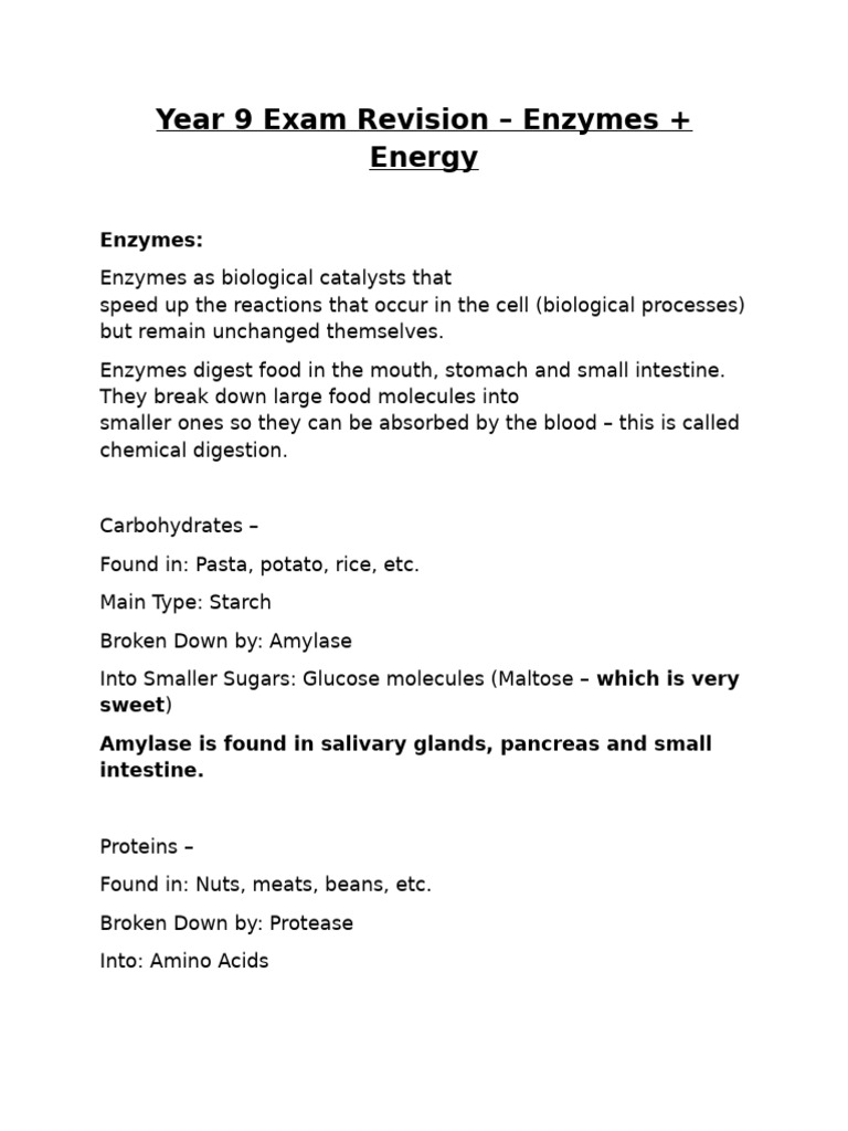 Year 9 Exam: Enzymes and Energy Concepts | PDF | Enzyme | Digestion