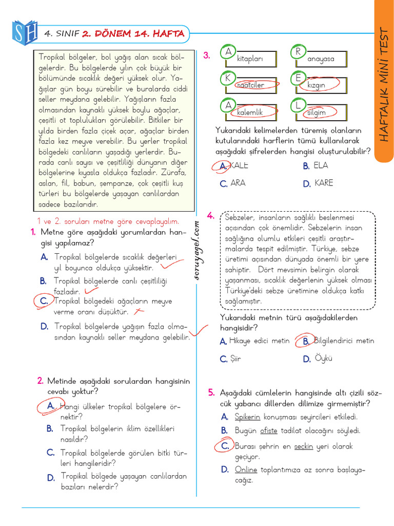 Sınıf 32.hafta Mini Test Cevap | PDF