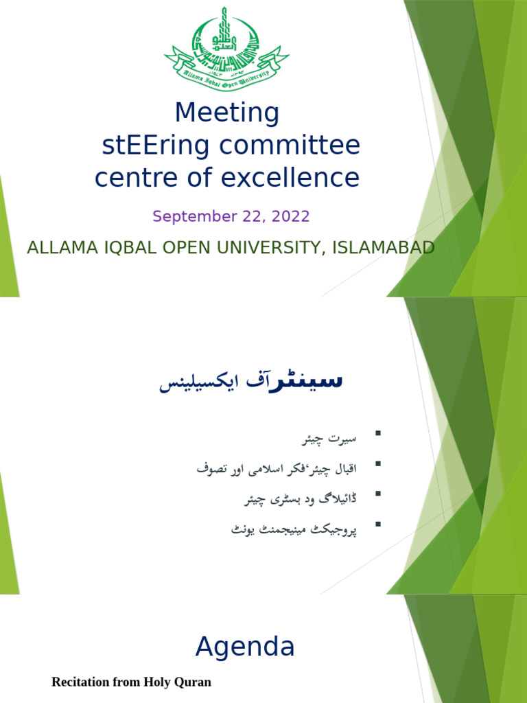 Steering Committee Presentation (Final) | PDF