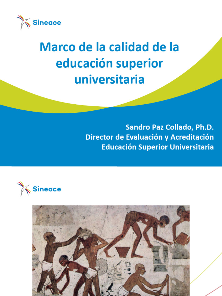 Aseguramiento de Calidad en Educación Superior | PDF | Plan de estudios ...