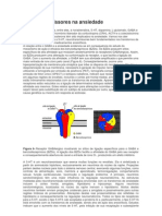 Neurotransmissores Na Ansiedade