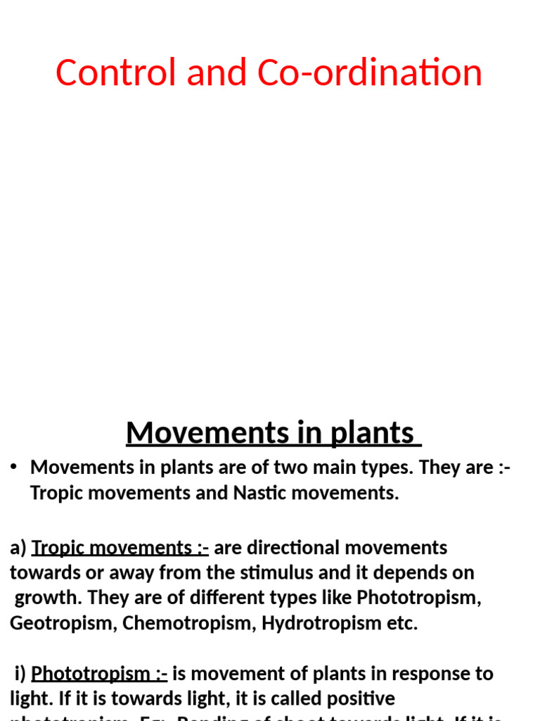 Plant and Animal Control Systems | PDF | Neuron | Central Nervous System