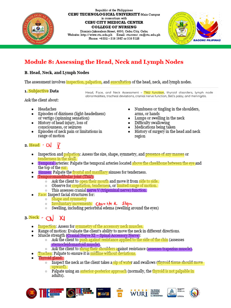 Head, Neck, and Lymph Node Assessment | PDF | Neck | Human Anatomy