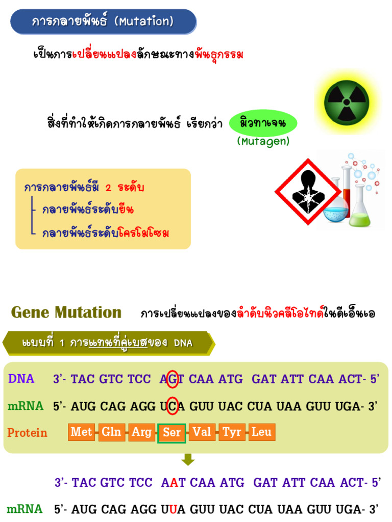 Mutation | PDF