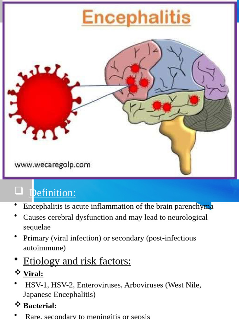 Encephalitis: Causes, Symptoms, and Care | PDF | Nervous System ...