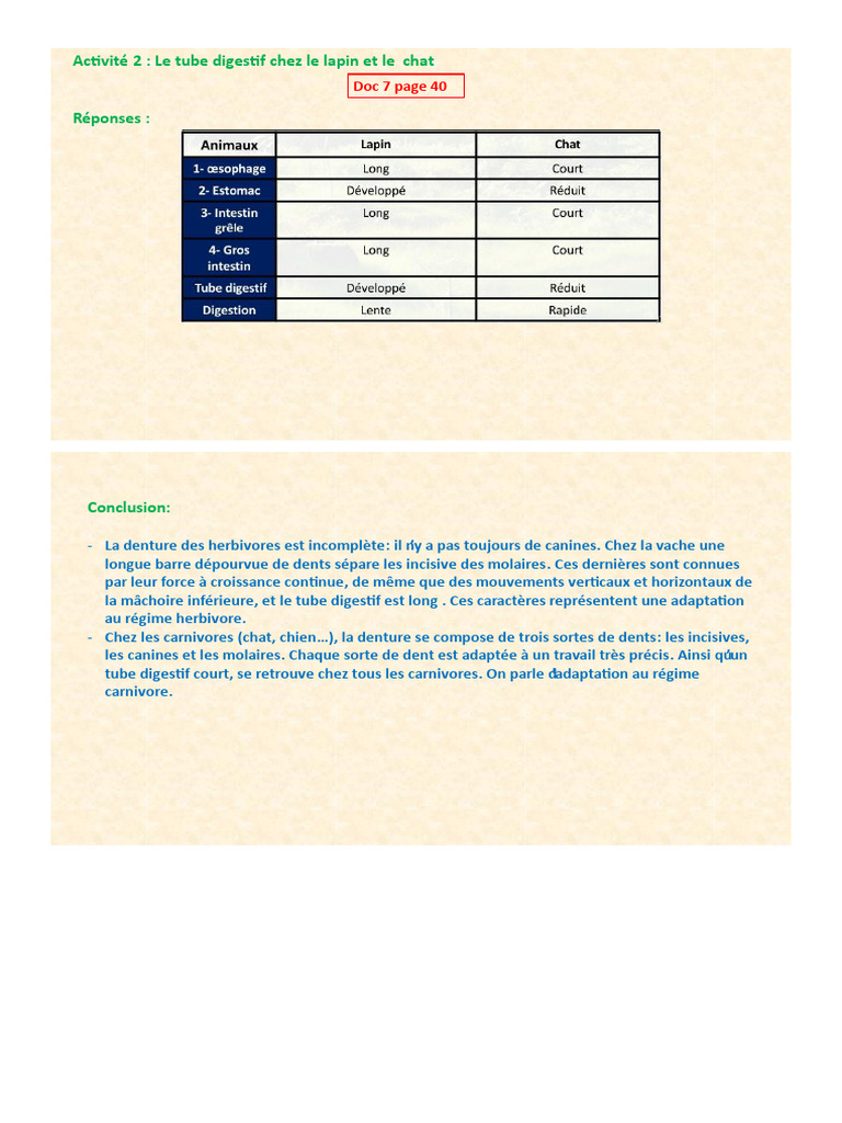 Impri Ali2 | PDF