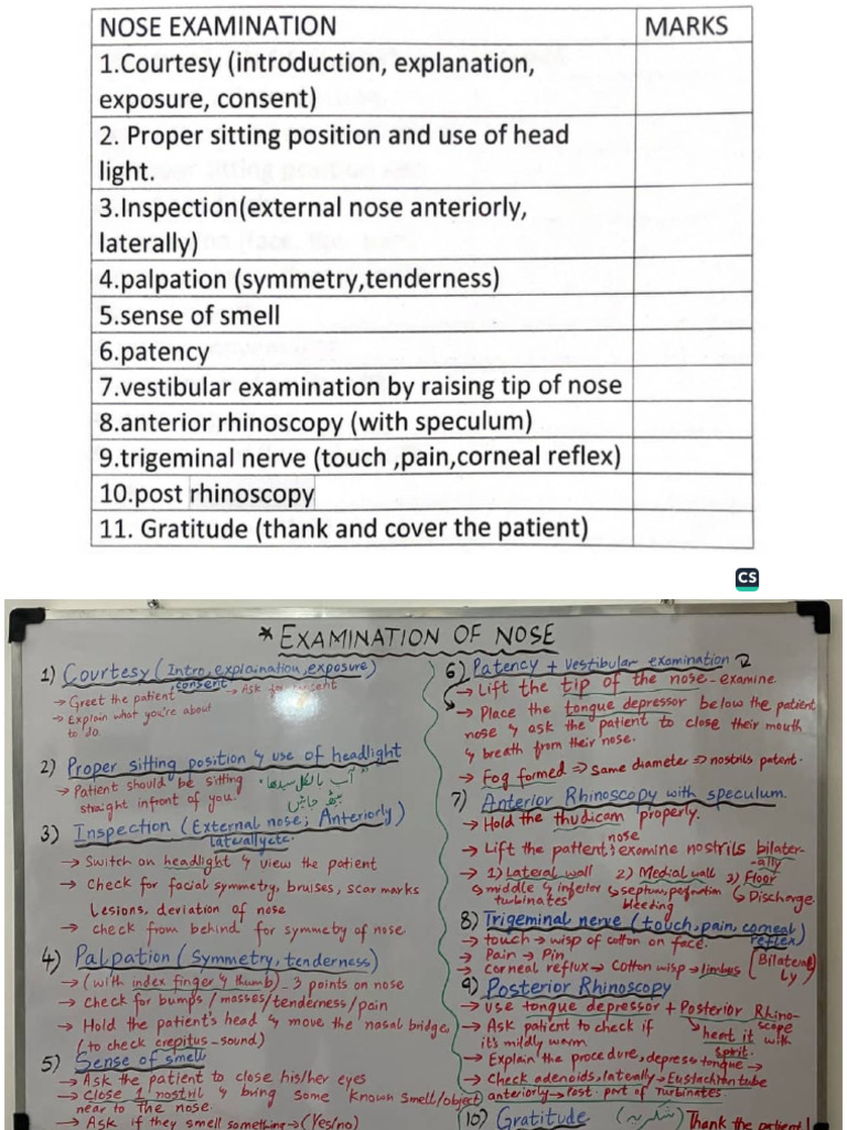 ENT Criteria,Examinations & Presentations 2 | PDF