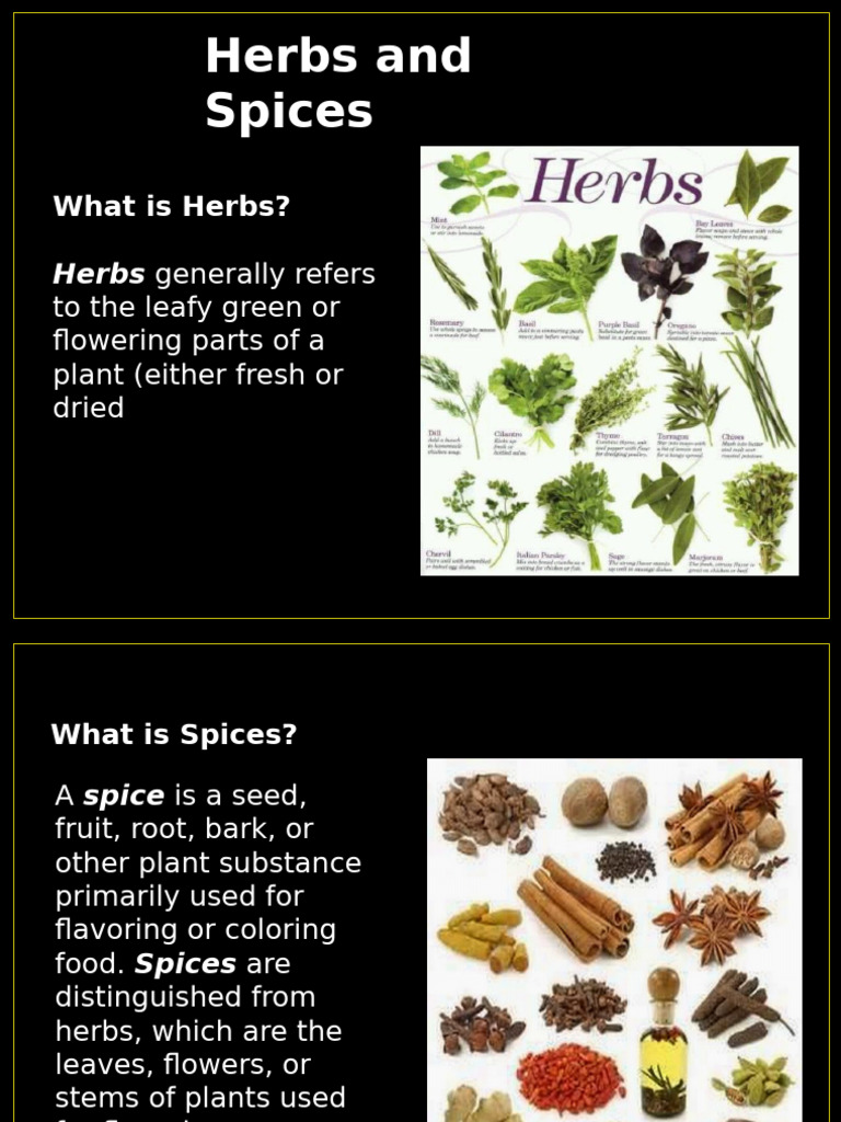 Herbs, Spices, and Condiments Guide | PDF | Sauce | Dill