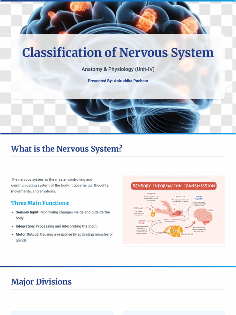Classification of Nervous System | PDF