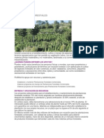 Plantaciones Forestales