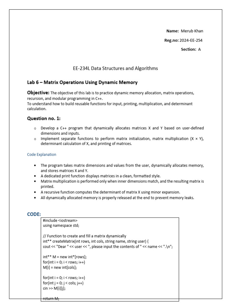 C++ Matrix Operations with Dynamic Memory | PDF | Matrix (Mathematics ...
