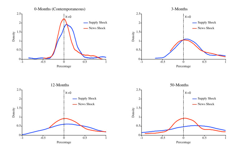 Supply and News Shock Analysis | PDF