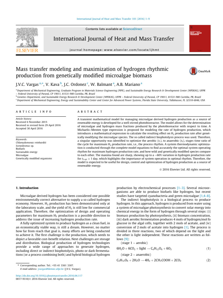 Mass Transfer Modeling and Maximization of Hydrogen Rhythmic Production ...