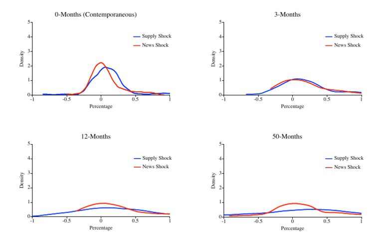 Supply and News Shock Analysis Charts | PDF