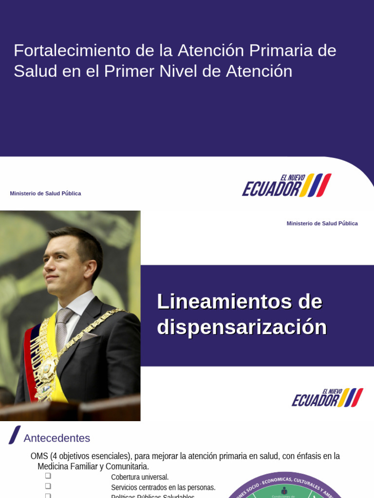 Fortalecimiento de la Atención Primaria de Salud | PDF | Politica ...