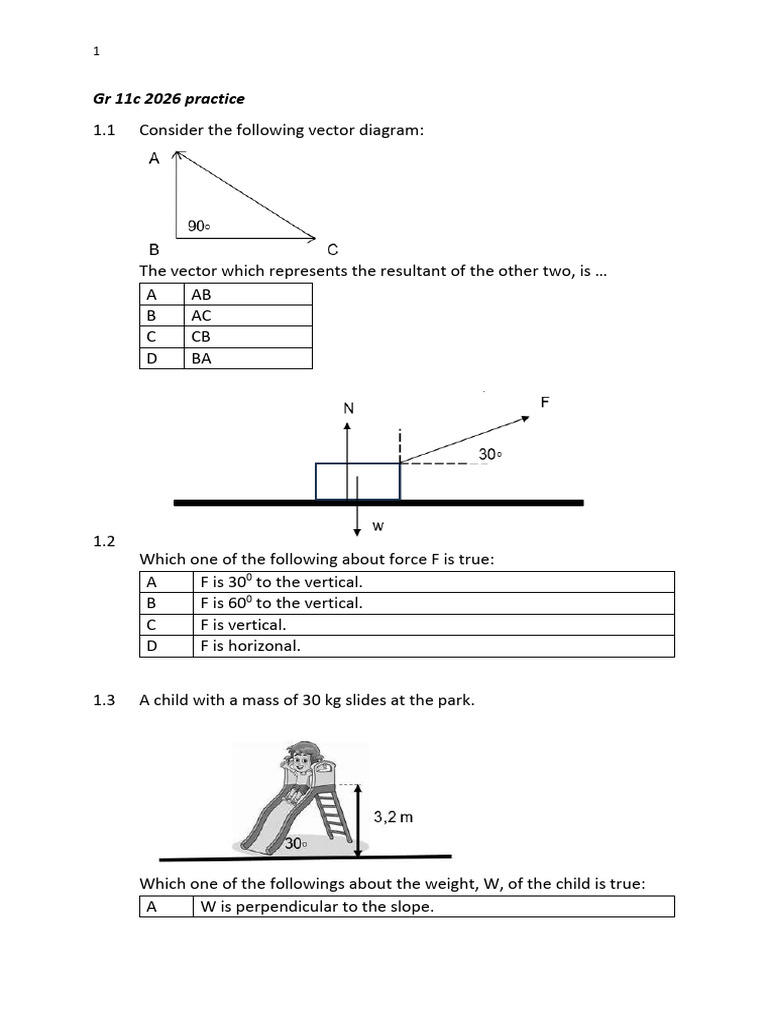 Grade 11 Physics Vector Practice | PDF