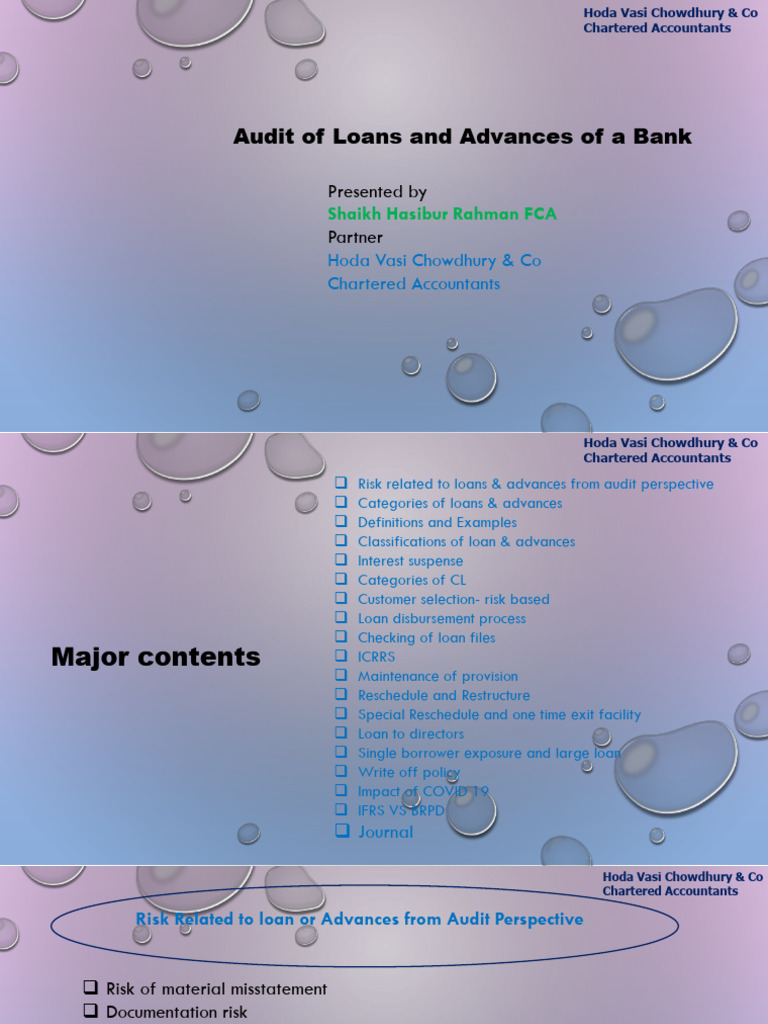 Bank Loan Audit and Risk Assessment | PDF | Loans | Interest