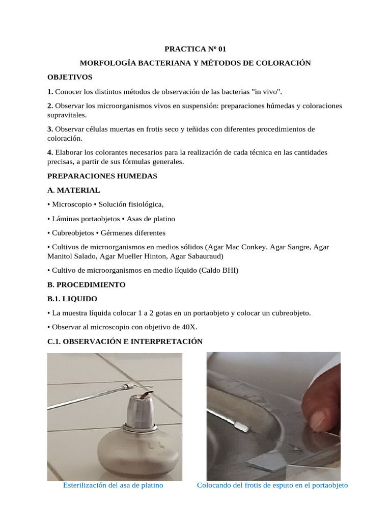 Métodos de Coloración en Bacteriología | PDF | Tinción | Las bacterias