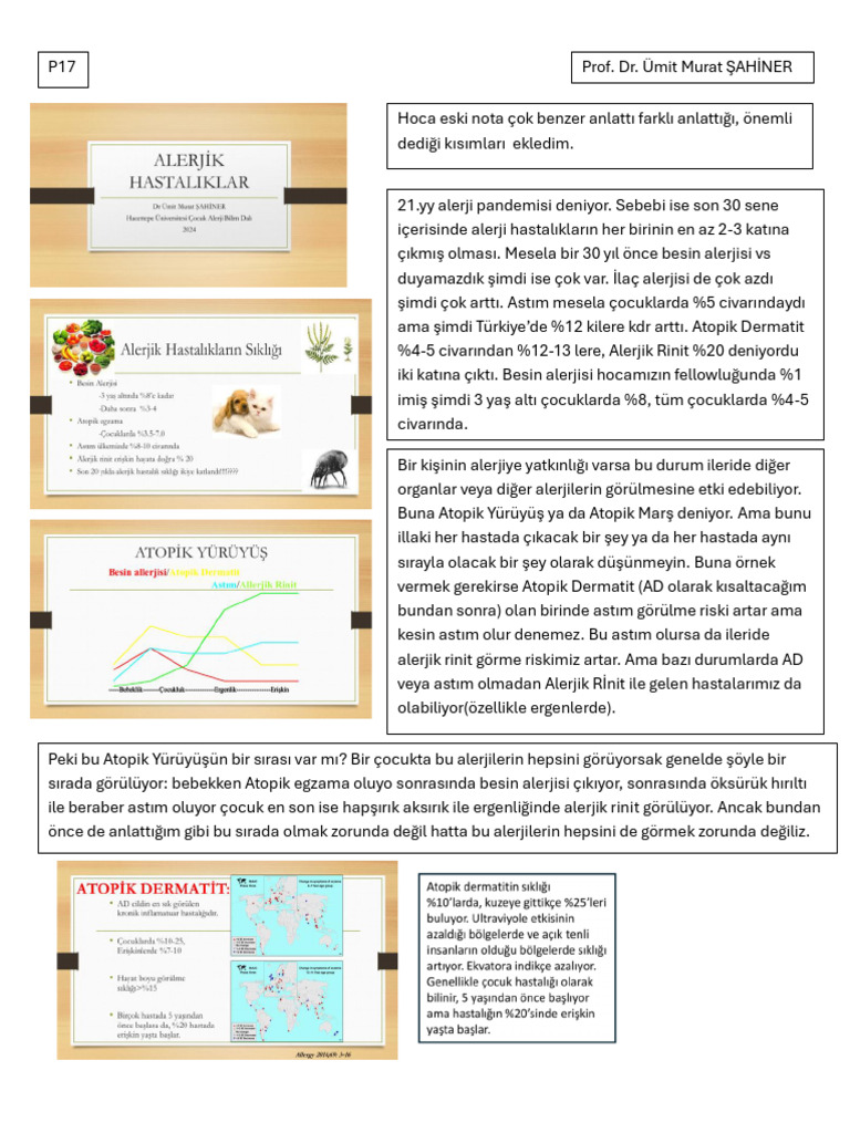 P17-Allergic Diseases of The Skin | PDF