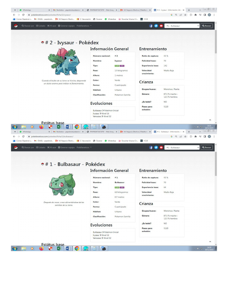 893 pokemones | PDF
