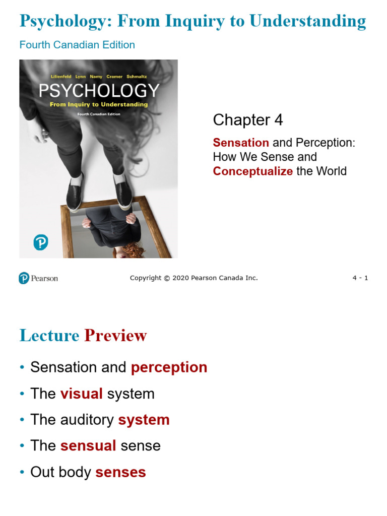 Sensation and Perception Explained | PDF | Senses | Perception