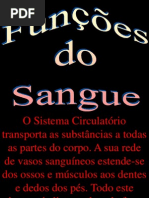Funções e Constituição Do Sangue