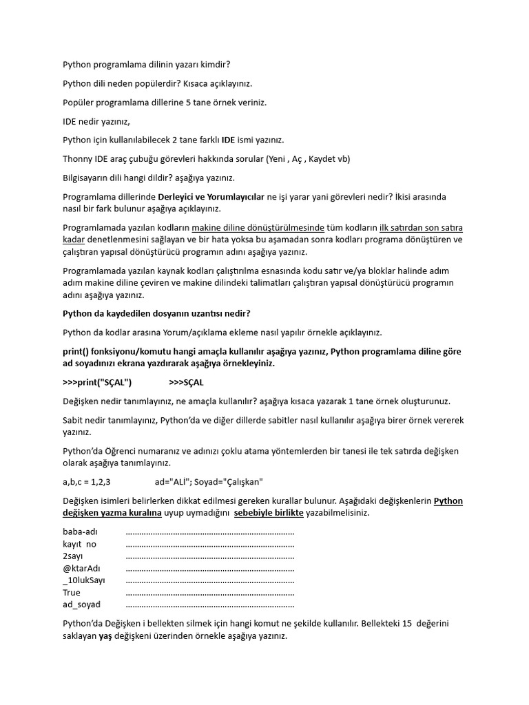 Py - Örnek Sorular | PDF