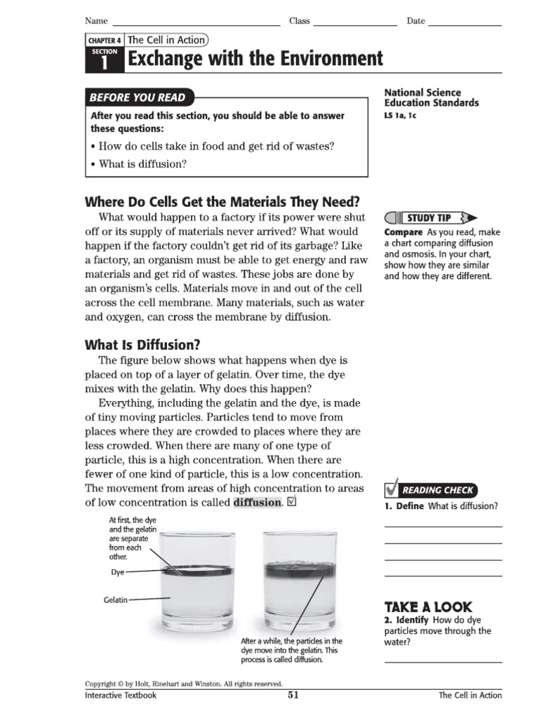 Kami Export - Elliot Nichols - Exchange With the Environment Article | PDF