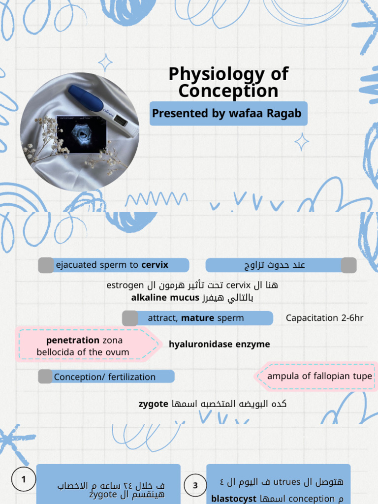 Physiology of Conception | PDF