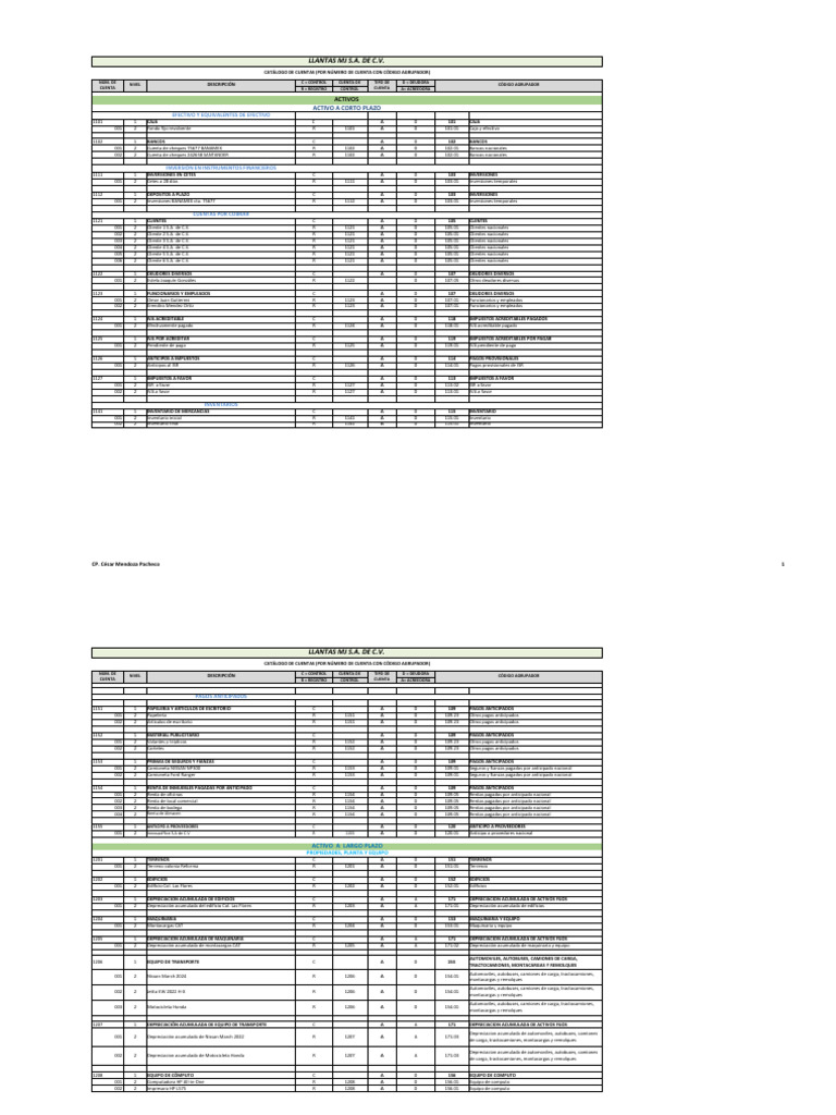 Catálogo de Cuentas Contables Detallado | PDF | Depreciación | Negocios ...