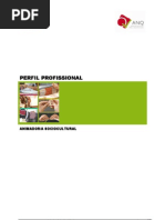 Perfil Profissional do Animador Sociocultural