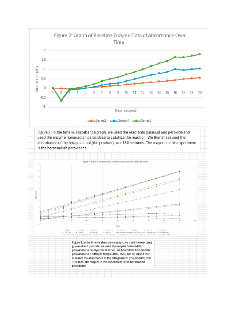 Enzyme Activity at Varying Temperatures | PDF
