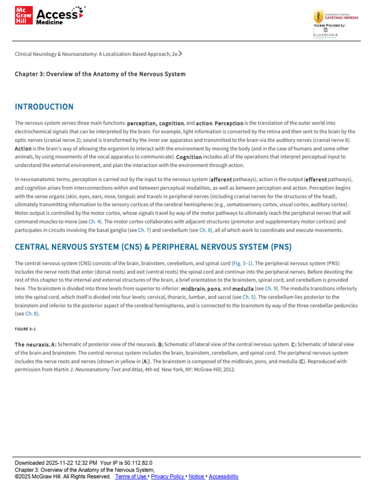 Anatomy of the Nervous System Overview | PDF | Central Nervous System ...