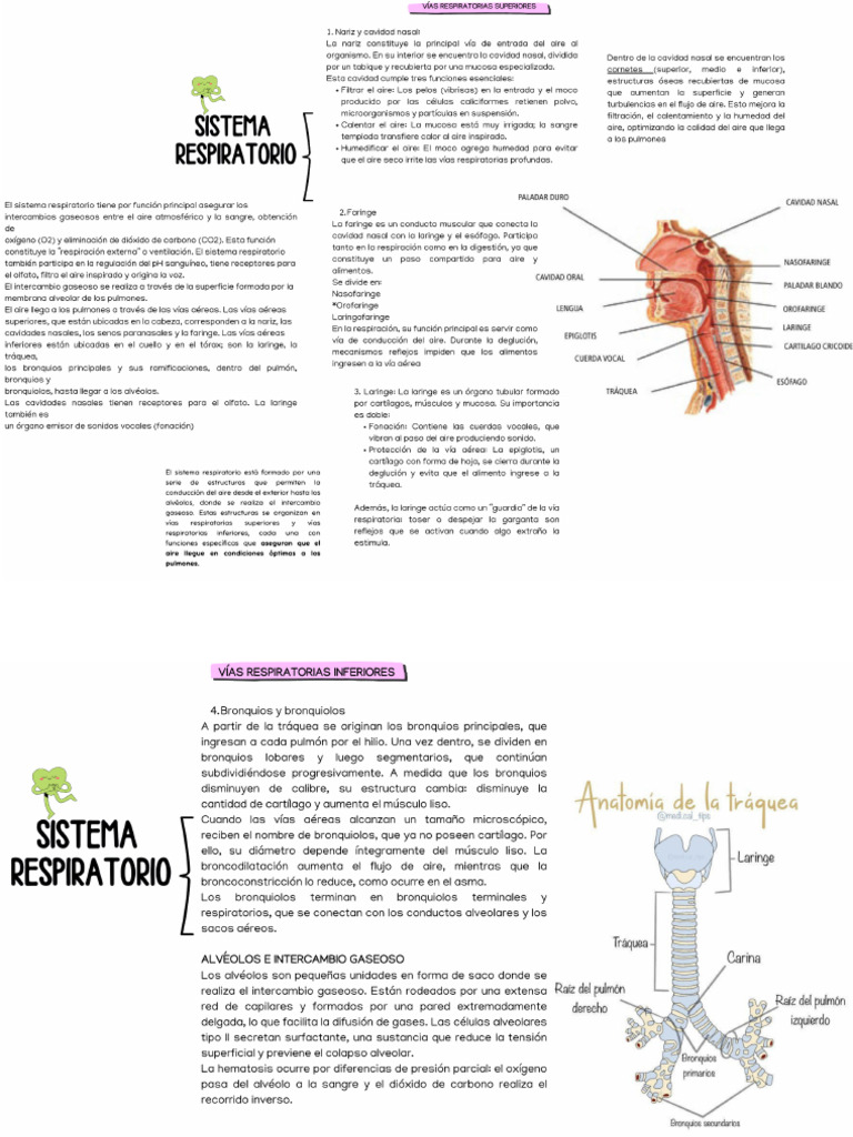 Sis. Respi Maoa | PDF